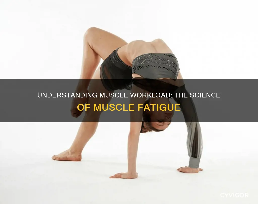 what is muscle workload