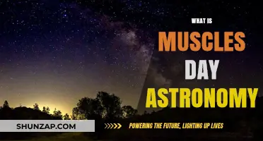 Understanding the Universe on Muscle's Day