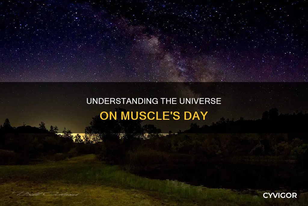 what is muscles day astronomy