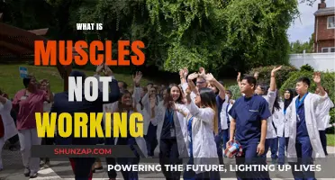 Understanding Muscle Inactivity: Causes and Solutions for Non-Functioning Muscles