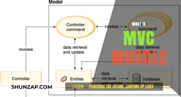 MVC Muscle: The Power Behind Web Development