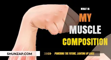 Understanding Your Muscle Composition: Unlocking Your Body's Potential