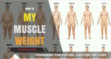 Understanding Muscle Weight: Your Body's Power Source