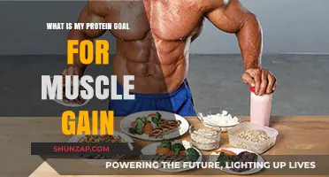 How to Calculate Your Protein Goal for Optimal Muscle Gain