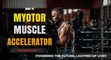 Unlocking Myotor Muscle Acceleration: The Science of Strength