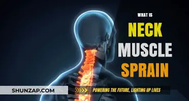Understanding Neck Muscle Sprains: Causes, Symptoms and Treatment
