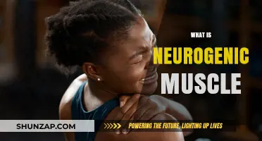 Neurogenic Muscle: What You Need to Know