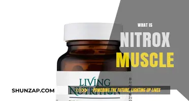 The Ultimate Nitrox Muscle Guide