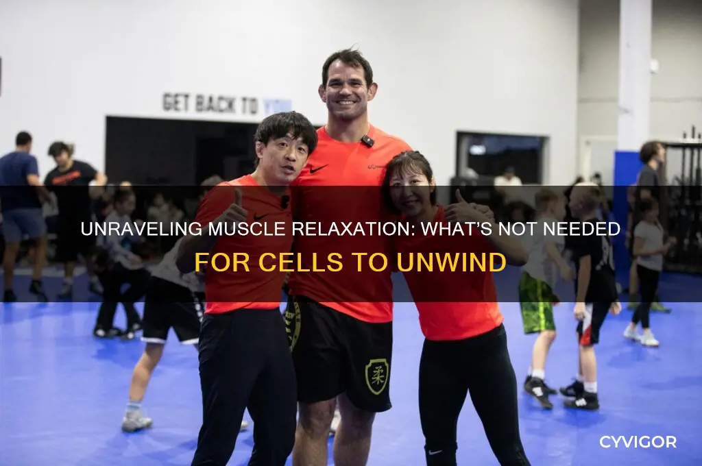 what is not required for a muscle cell to relax
