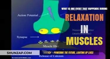 Muscle Relaxation Unveiled: The Fascinating Process of Calcium Ion Release
