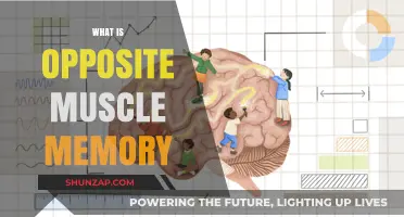 Unlearning Muscle Memory: Mastering the Art of Forgetting