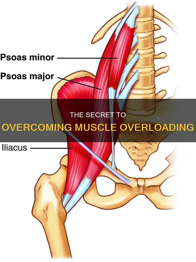 what is overtrwihing a muscle