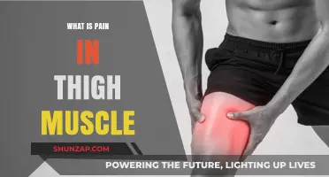 Understanding Thigh Muscle Pain: Causes, Symptoms, and Effective Relief Strategies