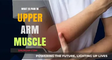 Understanding Upper Arm Muscle Pain: Causes, Symptoms, and Relief Tips