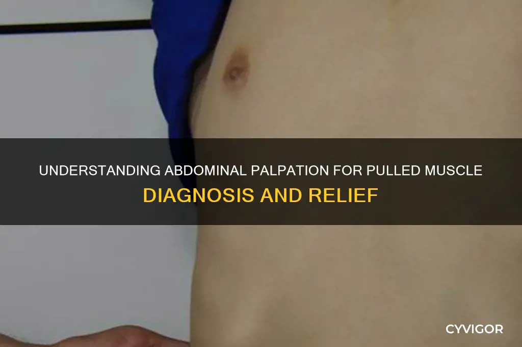 what is palpatation in the abdomen pulled muscle