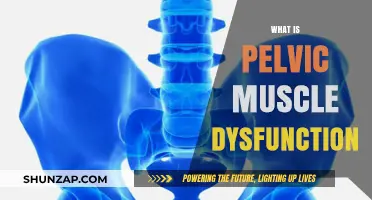 Pelvic Muscle Dysfunction: Understanding the Core Issue