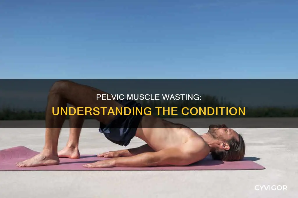what is pelvic muscle wasting