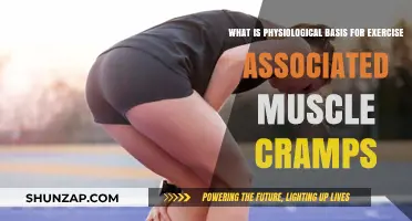 Unraveling the Physiological Mysteries Behind Exercise-Induced Muscle Cramps