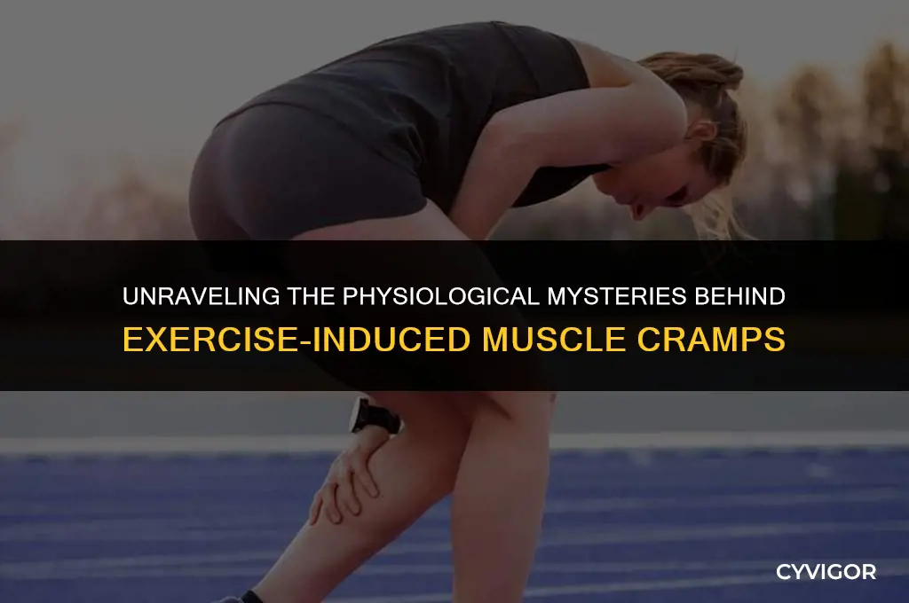 what is physiological basis for exercise associated muscle cramps