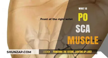 Understanding PO-SCA Muscle Development