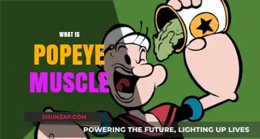 Understanding Unbalanced Growth of Popeye Muscles