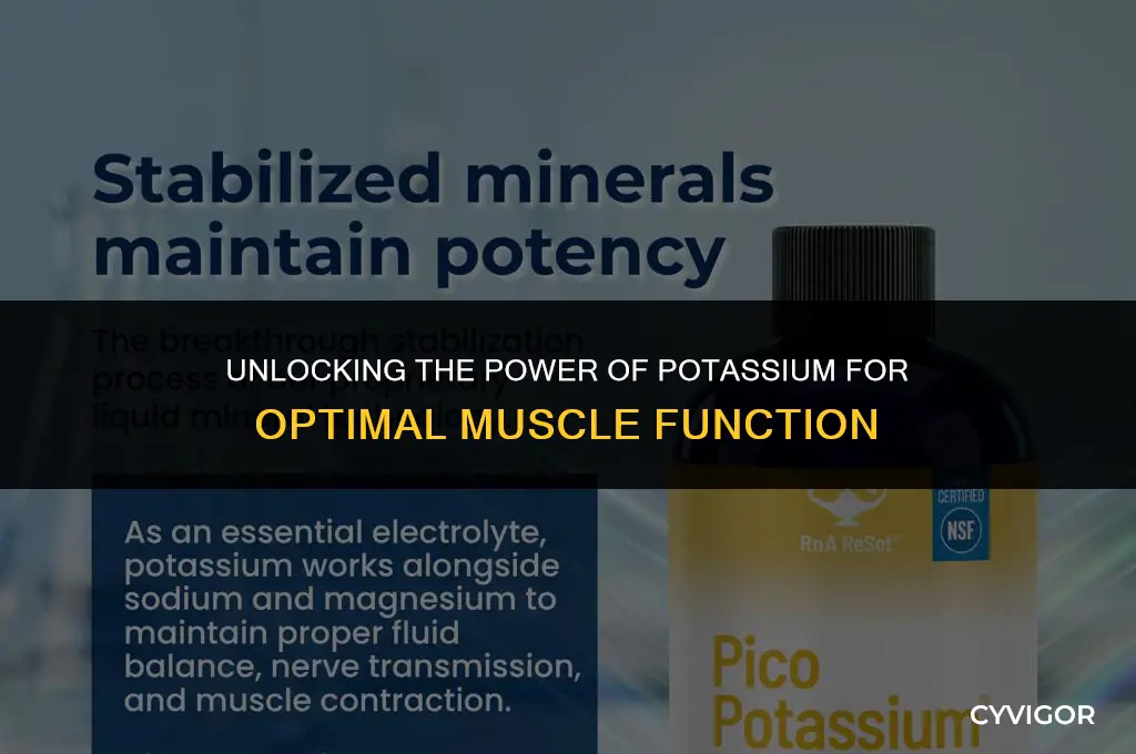what is potassium good for muscle contraction