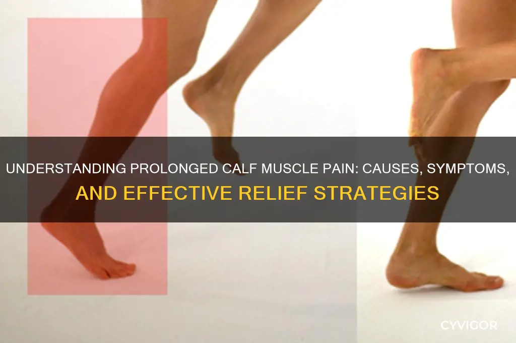 what is prolong calf muscle pain