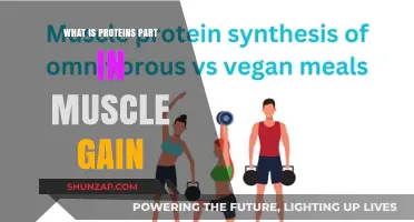 Unlocking Muscle Growth: The Essential Role of Proteins Explained