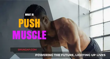 Push Muscles: The Ultimate Guide to Building Upper Body Strength