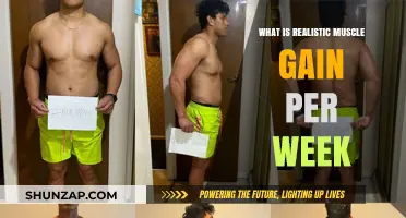 Realistic Muscle Gain Per Week: Setting Achievable Fitness Goals