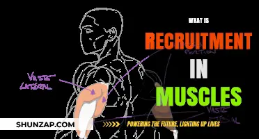 Understanding Muscle Recruitment: How Does It Work?