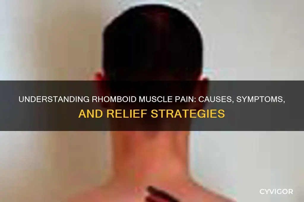what is rhomboid muscle pain caused from