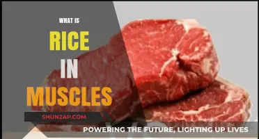Rice for Muscle Recovery: What and Why?