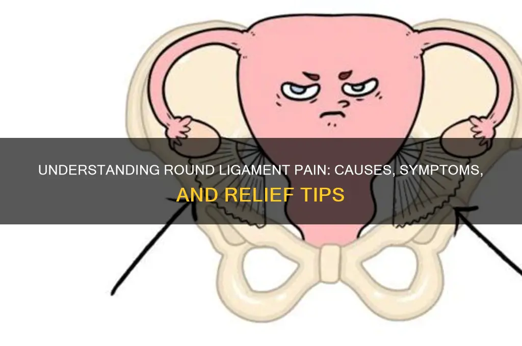 Understanding Round Ligament Pain: Causes, Symptoms, And Relief Tips ...