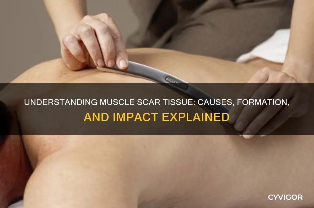 what is scar tissue in muscles caused by