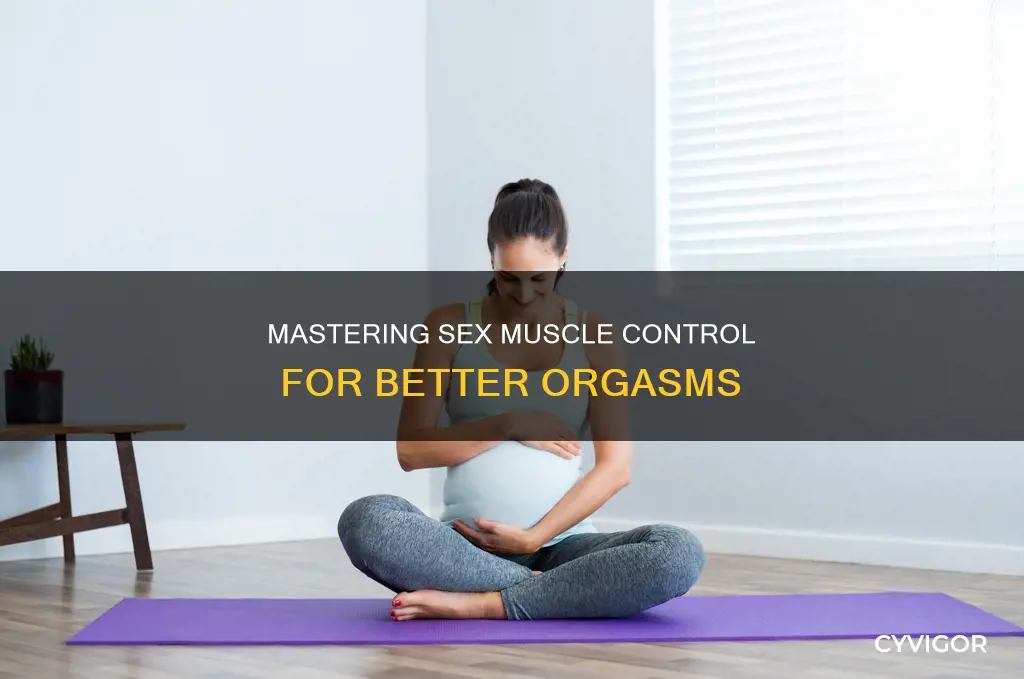 what is sex muscle control