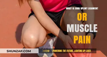 Understanding Shin Splints: Ligament vs. Muscle Pain Explained