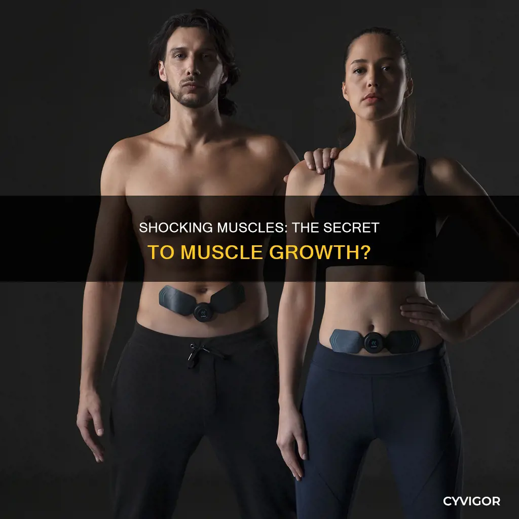 what is shocking muscles