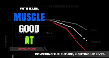 Unleashing the Power: What Skeletal Muscles Excel At