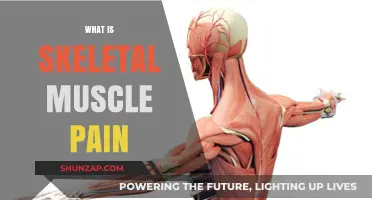 Understanding Skeletal Muscle Pain: Causes, Symptoms, and Relief Strategies