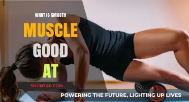 Unlocking the Secrets of Smooth Muscle: Nature's Master of Flexibility