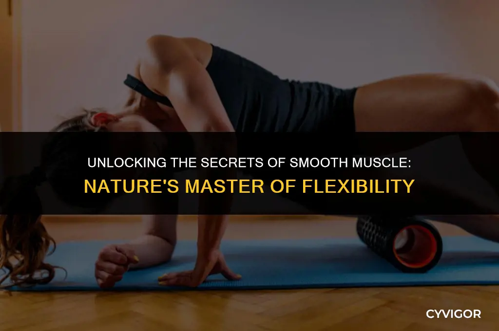 what is smooth muscle good at