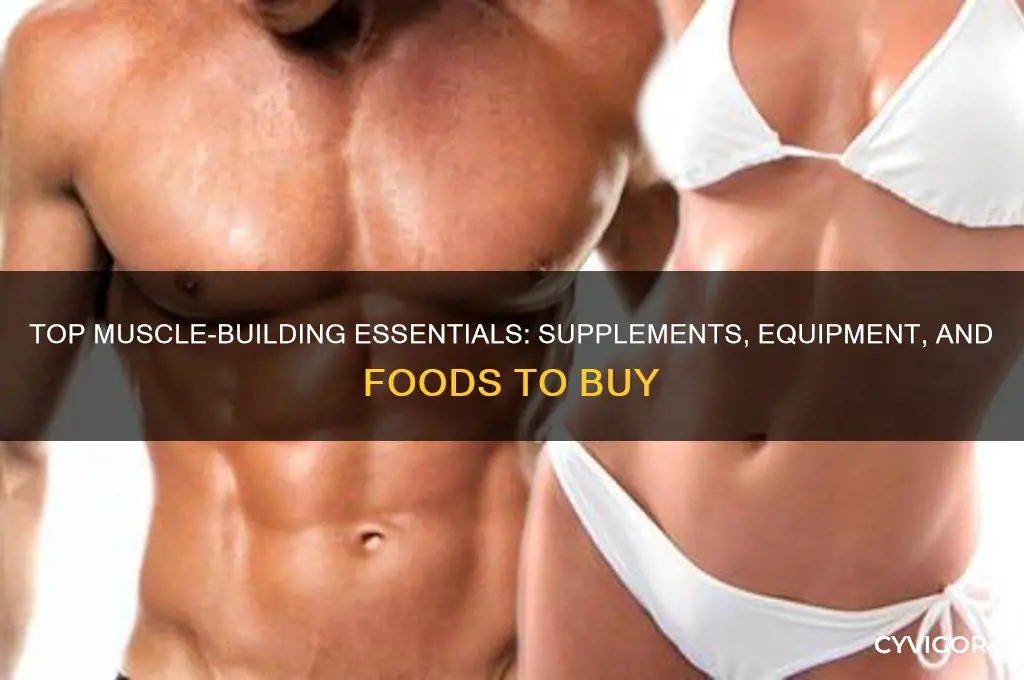 what is some things i can buy for muscle gain