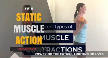 Understanding Static Muscle Action and Its Benefits
