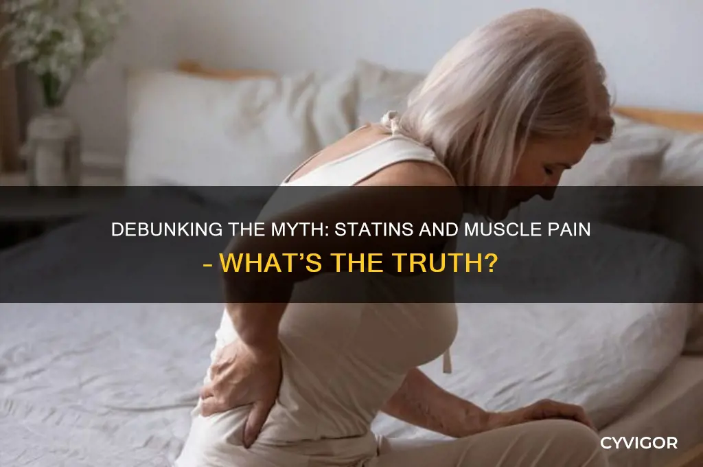 what is statin doesn
