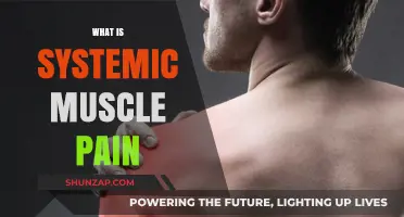 Understanding Systemic Muscle Pain: Causes, Symptoms, and Treatment Options