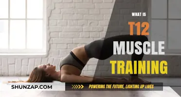 Muscle Training Techniques: T12 Workout Explained