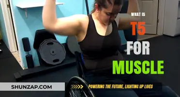 T5 Supplement Benefits for Muscle Gain