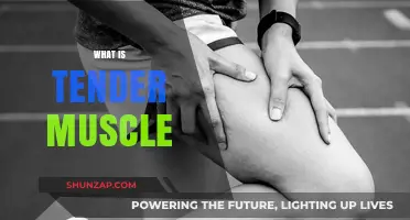 Understanding Tender Muscles: Causes and Treatment