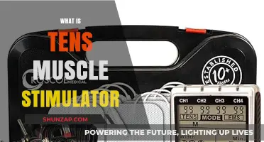 Muscle Stimulation: TENS Technology and Your Body